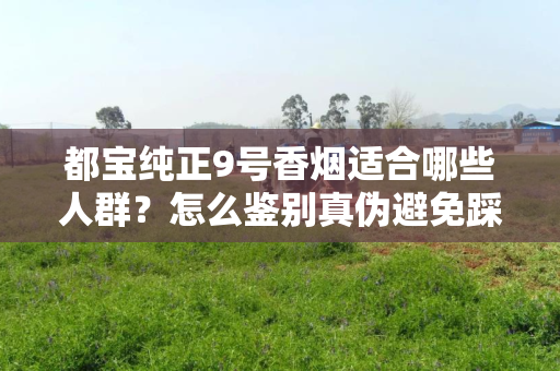 都宝纯正9号香烟适合哪些人群？怎么鉴别真伪避免踩坑？